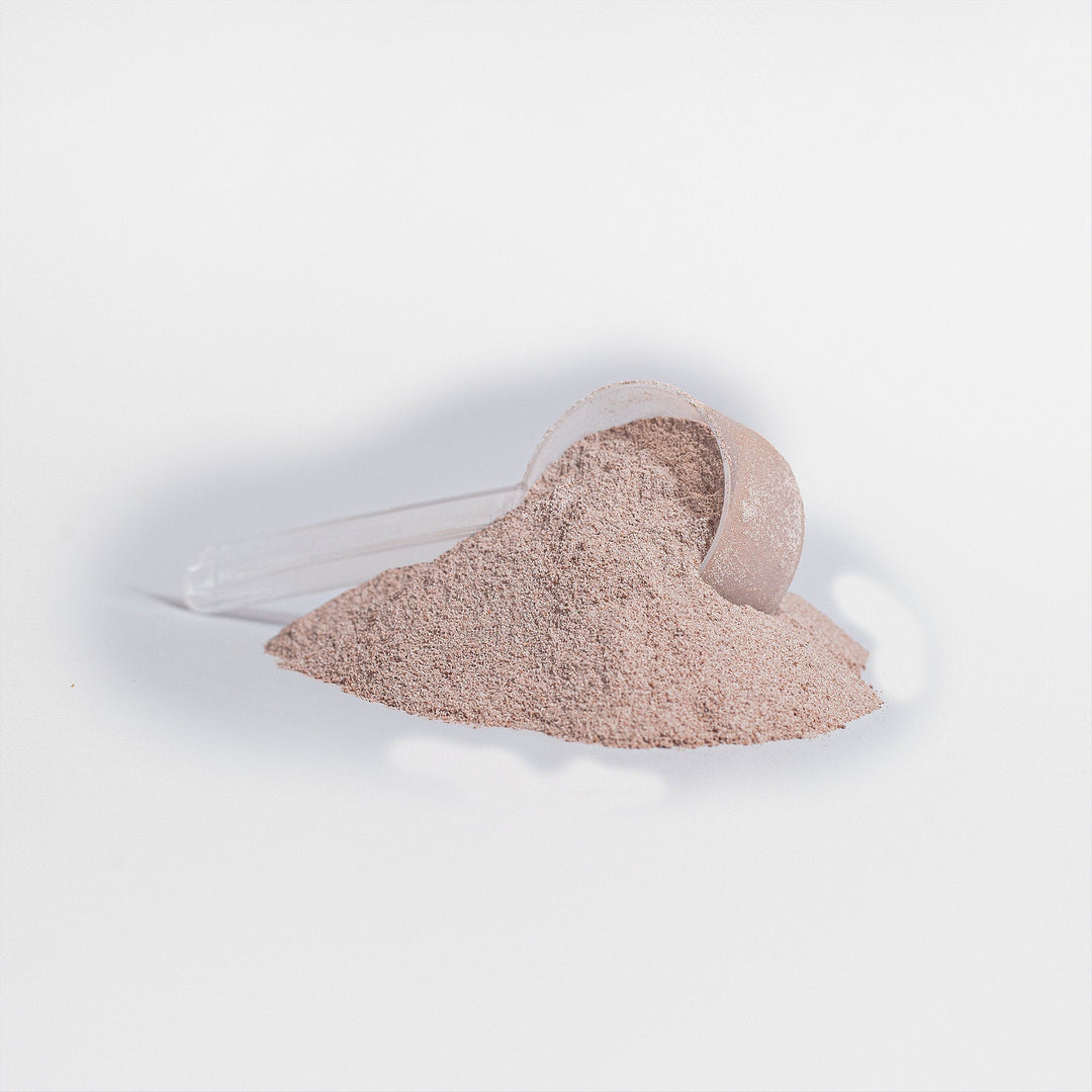 HEALTHIQ Plant Protein (Vanilla)