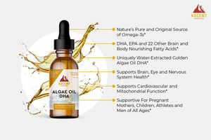 Ascent Nutrition Algae Oil DHA Benefits