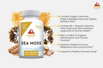 Load image into Gallery viewer, Ascent Nutrition Sea Moss Benefits